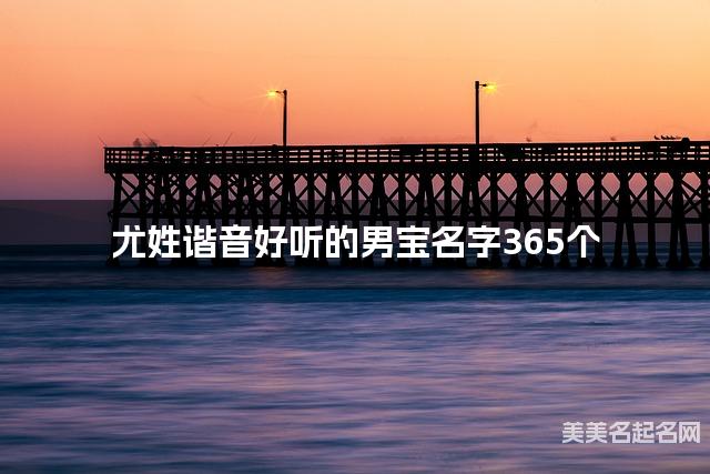 尤姓谐音好听的男宝名字365个