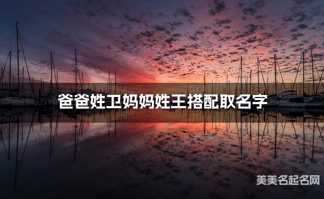 把卫姓和王姓结合取女宝宝名字方案参考