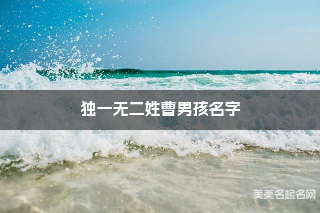 周易取名网 独一无二姓曹男孩名字