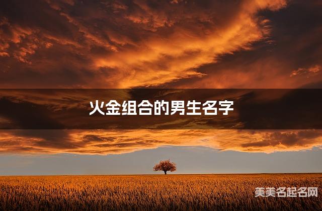 火金组合的男生名字 男生悦耳动听的名字