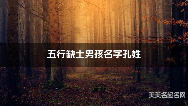 五行缺土男孩名字孔姓 有创意的宝宝名字大全