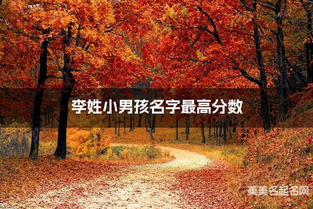 取名字自助取名 李姓小男孩名字最高分数