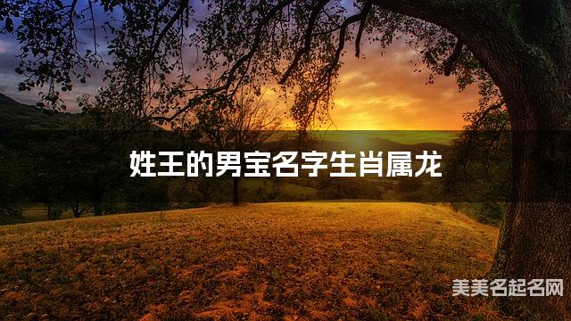 姓王的男宝名字生肖属龙 有气质的宝宝名字大全