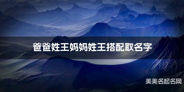 王王姓氏搭配取名，有涵养的女孩名字案例