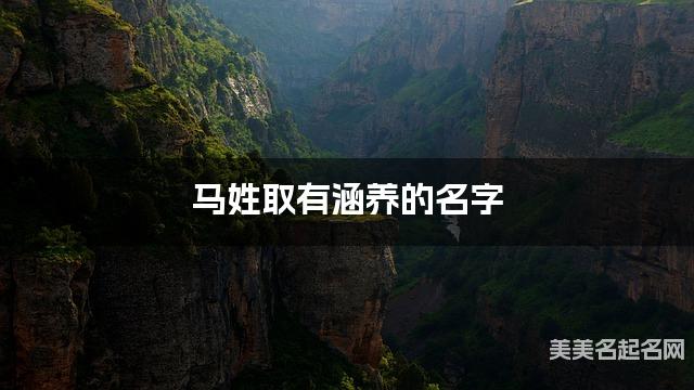 马姓取有涵养的名字，马姓男宝高端名字