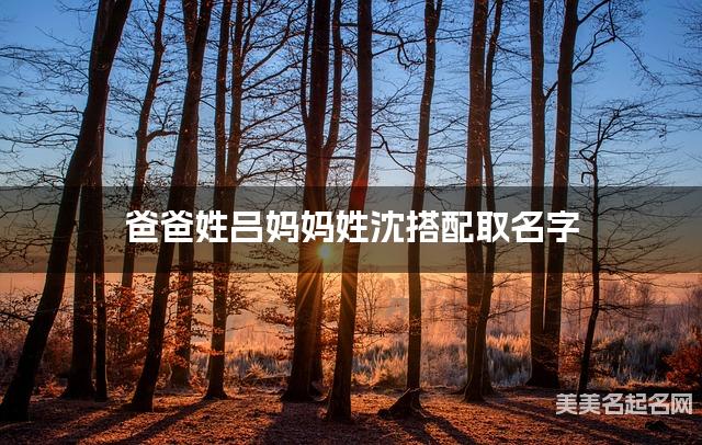 吕姓和沈姓搭配取女孩名字推荐