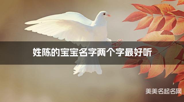 姓陈的宝宝名字两个字最好听