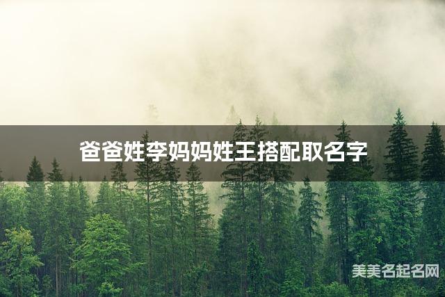 爸爸姓李妈妈姓王取名字 男生最霸气好听的名字