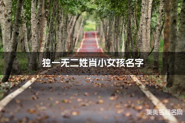 周易取名网 独一无二姓肖小女孩名字