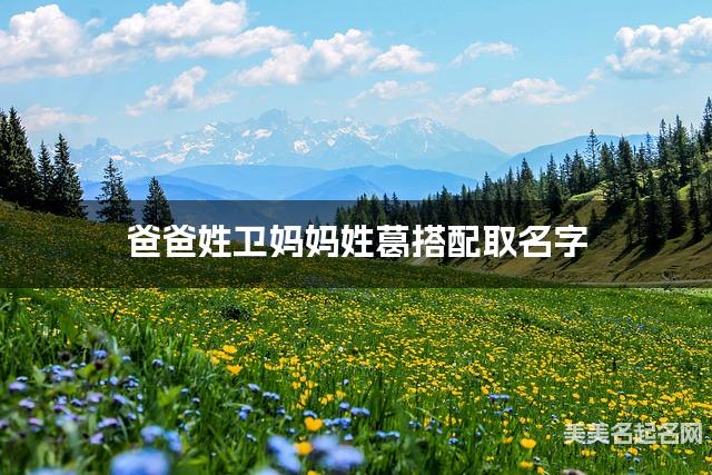 有诗意的女宝宝名字，爸爸姓卫妈妈姓葛搭配取名