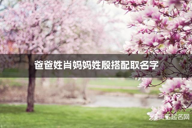 肖殷姓氏搭配取名，有新意的男孩名字案例