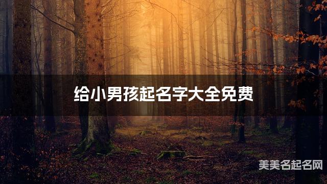 给小男孩起名字大全免费 有创意的宝宝好名字 给小男孩起名字大全免费 有创意的宝宝好名字