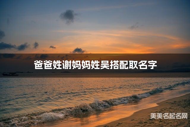 爸爸姓谢妈妈姓吴搭配取名字