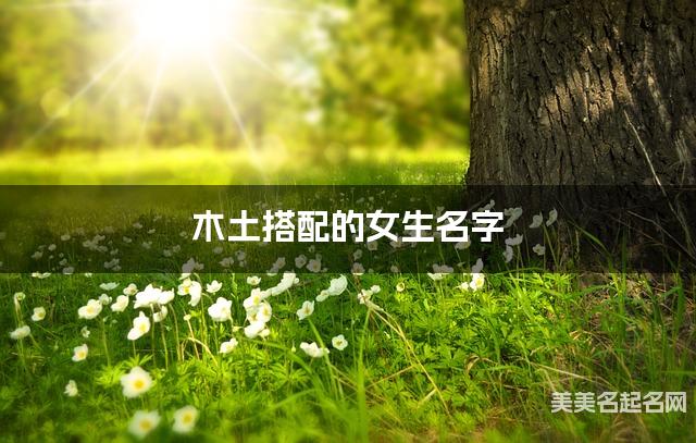 木土搭配的女生名字 女生古风仙气的名字