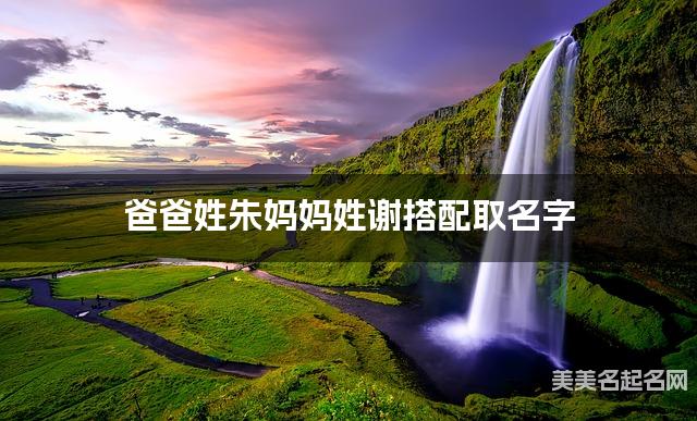 朱谢姓氏搭配取名，有灵气的女宝宝名字案例