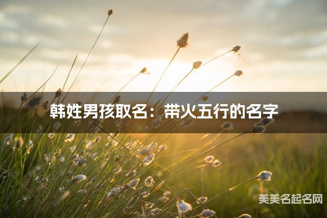 韩姓男孩取名：带火五行的名字（有涵养）
