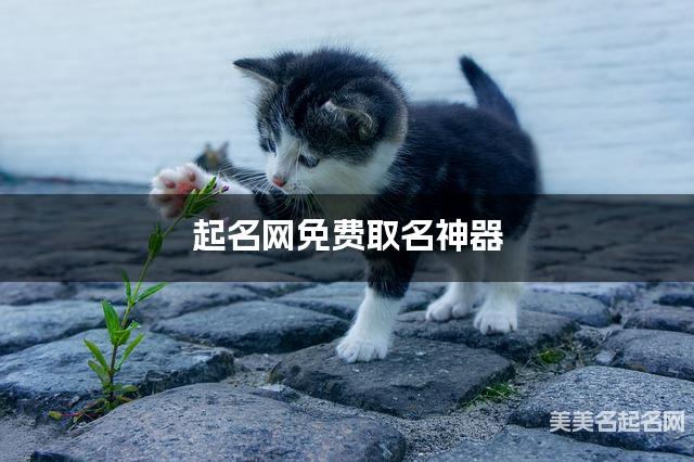 起名网免费取名神器 周姓雅致好听的男生名字