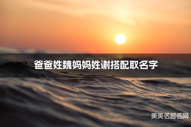 爸爸姓魏妈妈姓谢搭配取名字