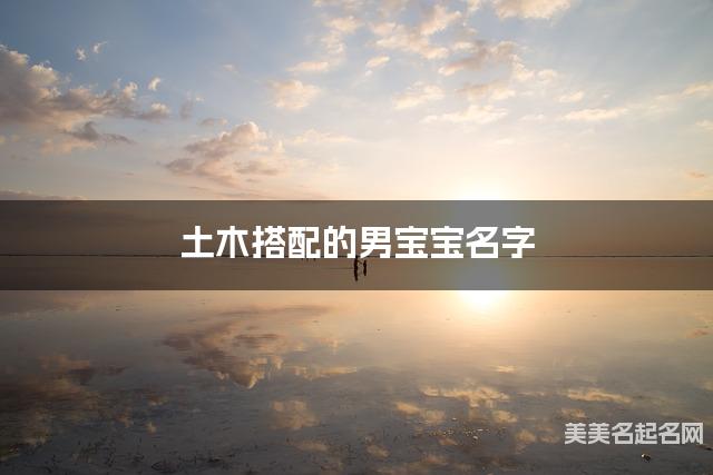 土木搭配的男宝宝名字 男宝宝高冷酷帅的名字