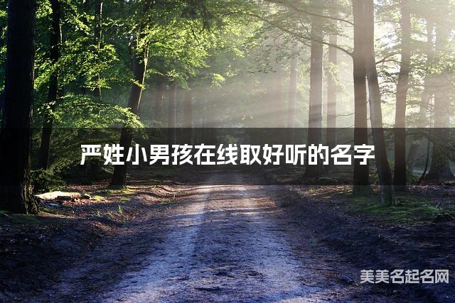 取名字大全女孩免费 严姓小男孩在线取好听的名字
