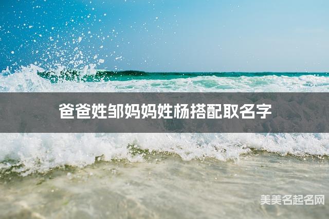 将邹姓和杨姓结合取名字，好听有创意的男生名字推荐