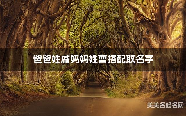 把戚姓和曹姓结合取宝宝名字方案参考