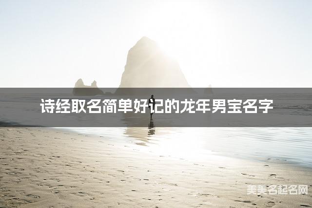 诗经取名简单好记的龙年男宝名字