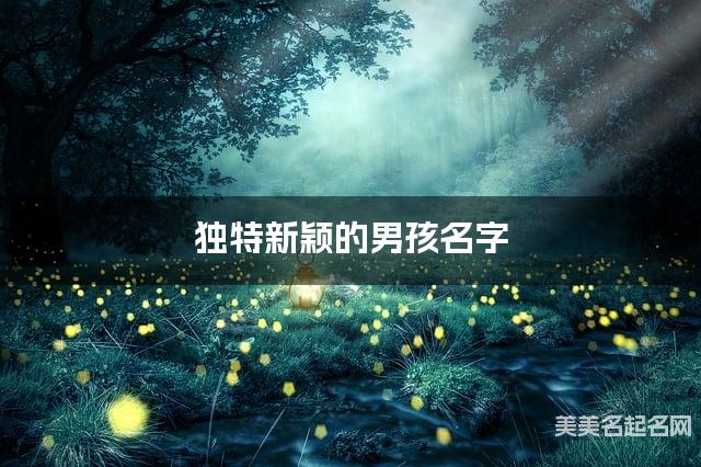 独特新颖的男孩名字（342个最新）