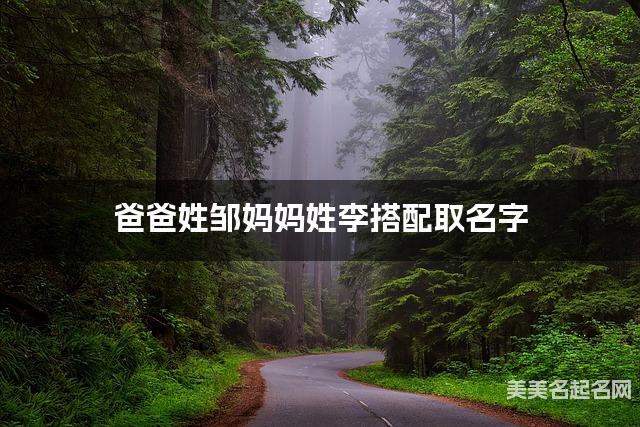 把邹姓和李姓结合取女宝宝名字方案参考