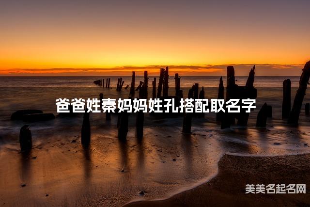 爸爸姓秦妈妈姓孔取名字 男生100分的名字