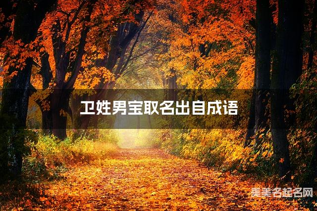 起名取名平台 卫姓男宝取名出自成语