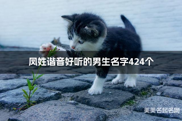 凤姓谐音好听的男生名字424个