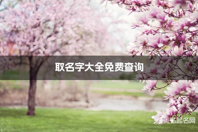 取名字大全免费查询 最有寓意的章姓男孩名字