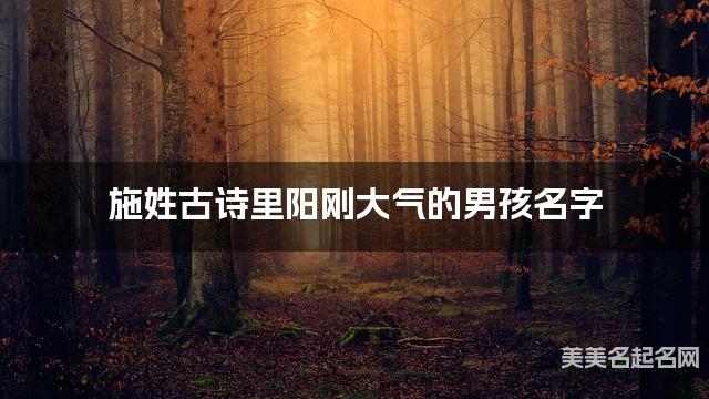 起名网免费取名神器 施姓古诗里阳刚大气的男孩名字