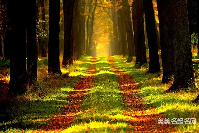 取名字大全免费查询 范姓女宝宝起一个漂亮有涵养的名字