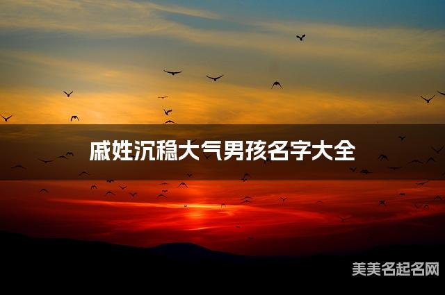 戚姓沉稳大气男孩名字大全