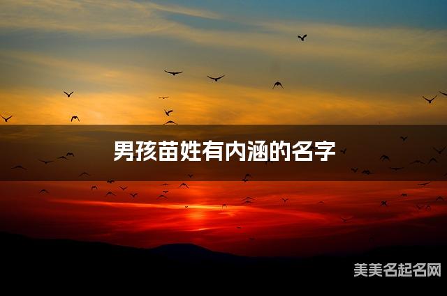 男孩苗姓有内涵的名字