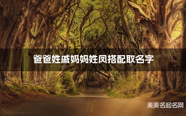 爸爸姓戚妈妈姓凤搭配取名字