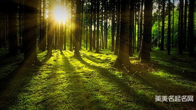 尤姓谐音好听的女宝宝名字319个