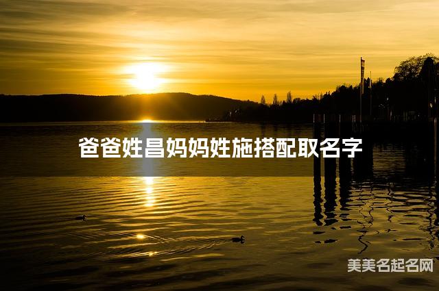 昌施姓氏搭配取名，有新意的小男孩名字案例