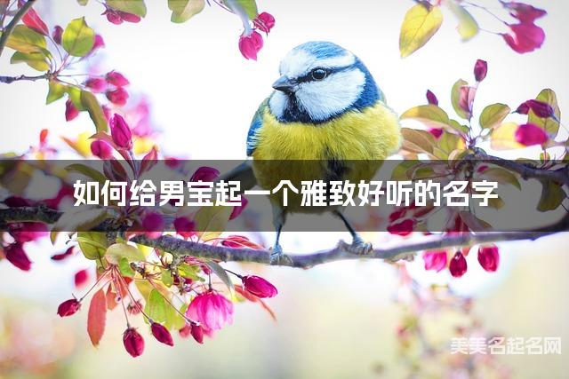 如何给男宝起一个雅致好听的名字