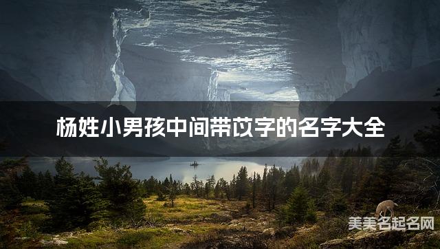 杨姓小男孩中间带苡字的名字大全