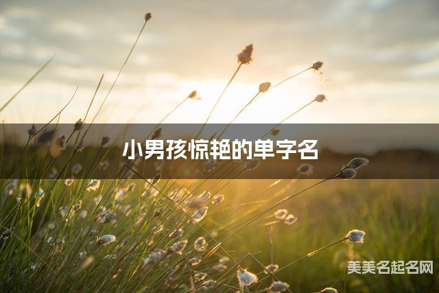 小男孩惊艳的单字名  有寓意的宝宝单字名大全