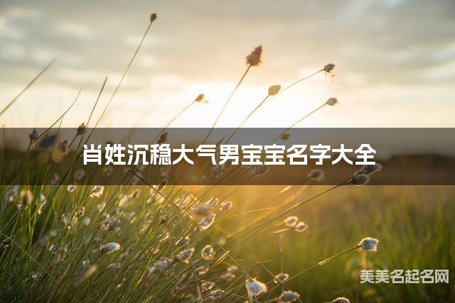 肖姓沉穩大氣男寶寶名字大全