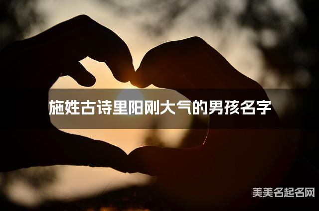 起名取名神器 施姓古诗里阳刚大气的男孩名字