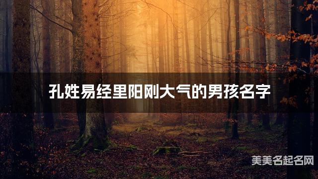起名字免费 孔姓易经里阳刚大气的男孩名字