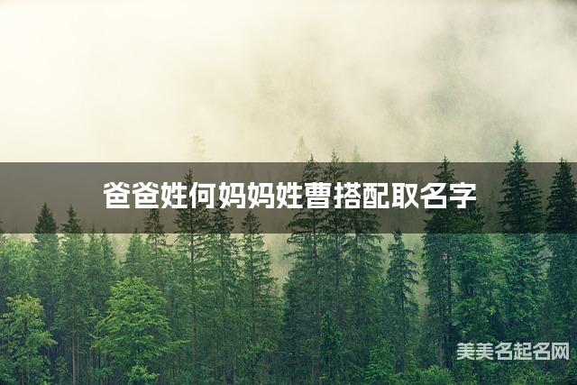 将何姓和曹姓结合取名字，好听有诗意的女宝名字推荐