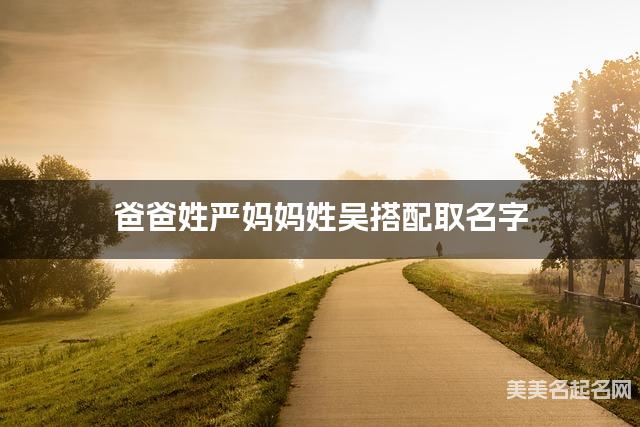 爸爸姓严妈妈姓吴搭配取名字