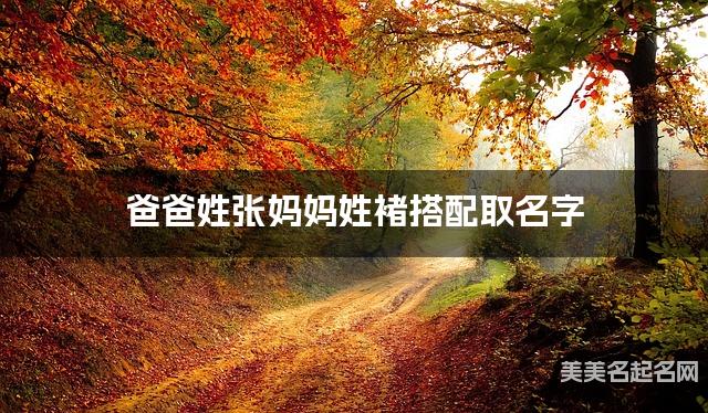 张姓和褚姓搭配取男宝宝名字推荐