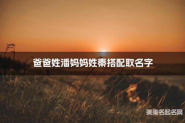 爸爸姓潘妈妈姓秦取名字 宝宝100分的名字